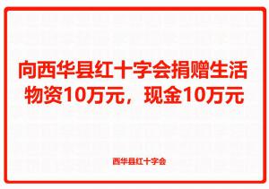 向西华县红十字会捐赠生活物资10万元，现金10万元